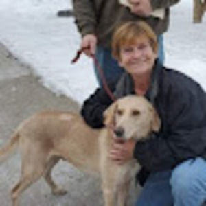 Meet your Posher, Dorothy